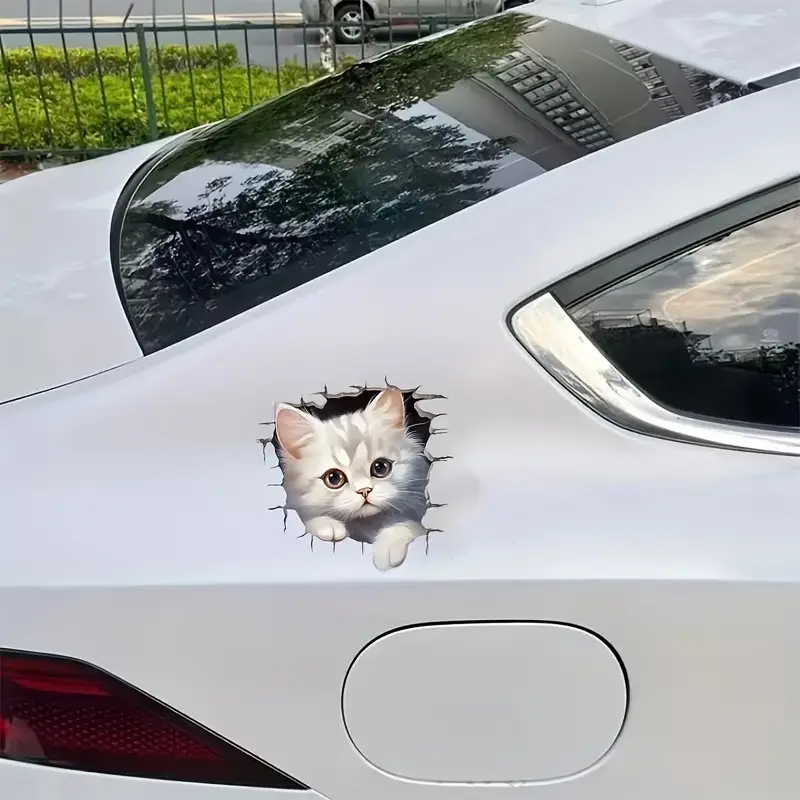 Sevimli Tüylü Beyaz Kedi Duvardan Bakıyor 13cmx13cm