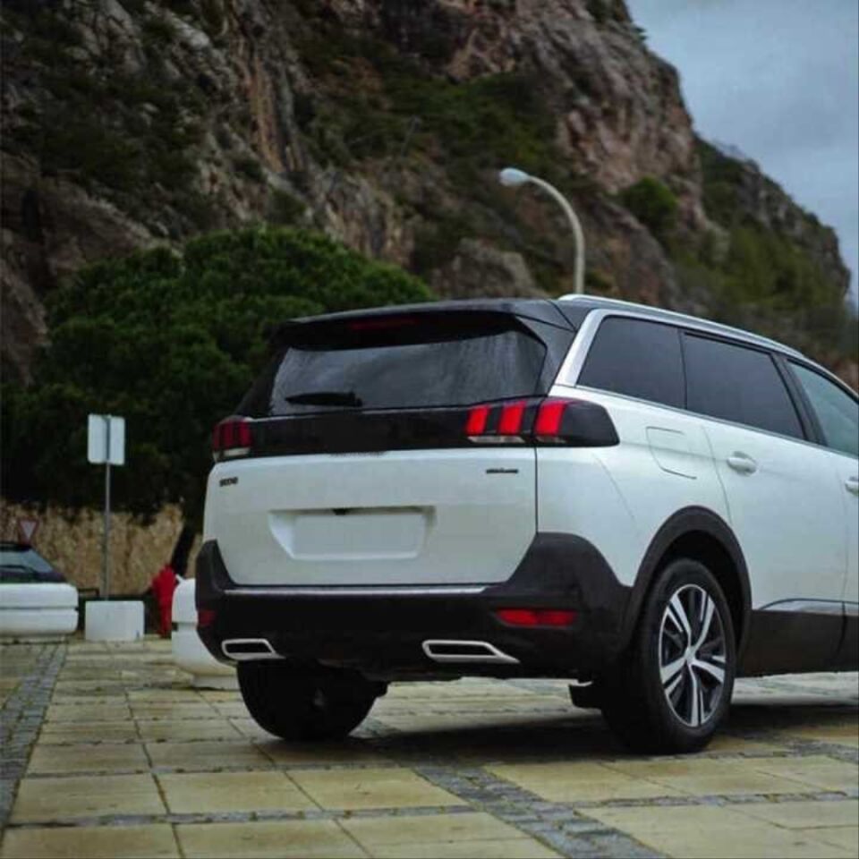 PEUGEOT 3008 2016+ EGZOZ NİKELAJI