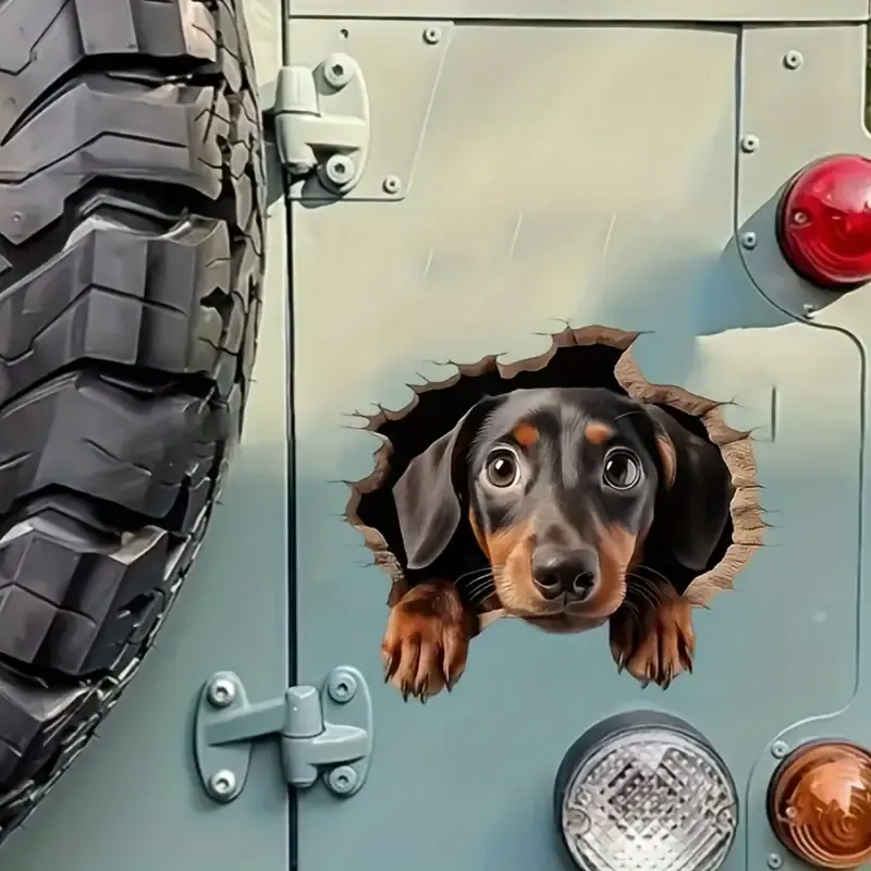 Kuyudan Çıkartılan Dachshund Peeking Vinil Sticker Su Geçirmez