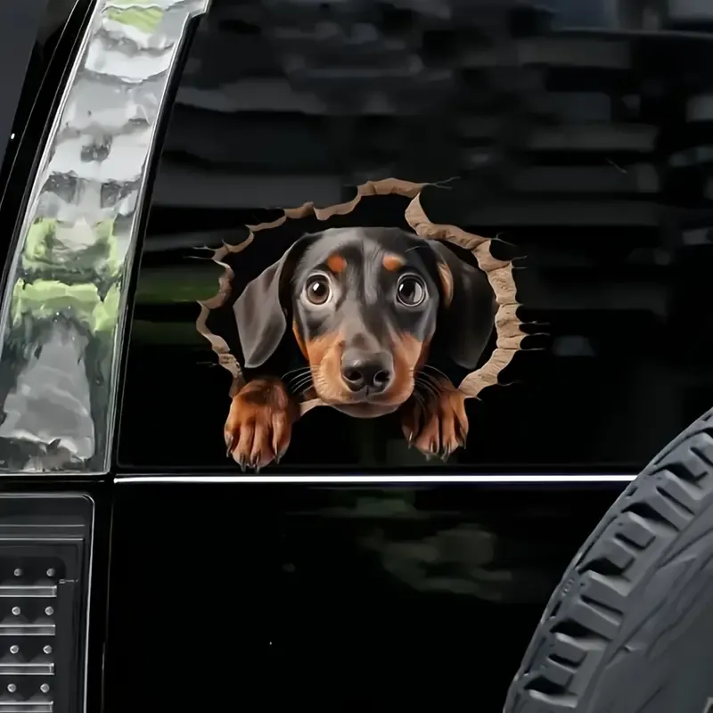 Kuyudan Çıkartılan Dachshund Peeking Vinil Sticker Su Geçirmez