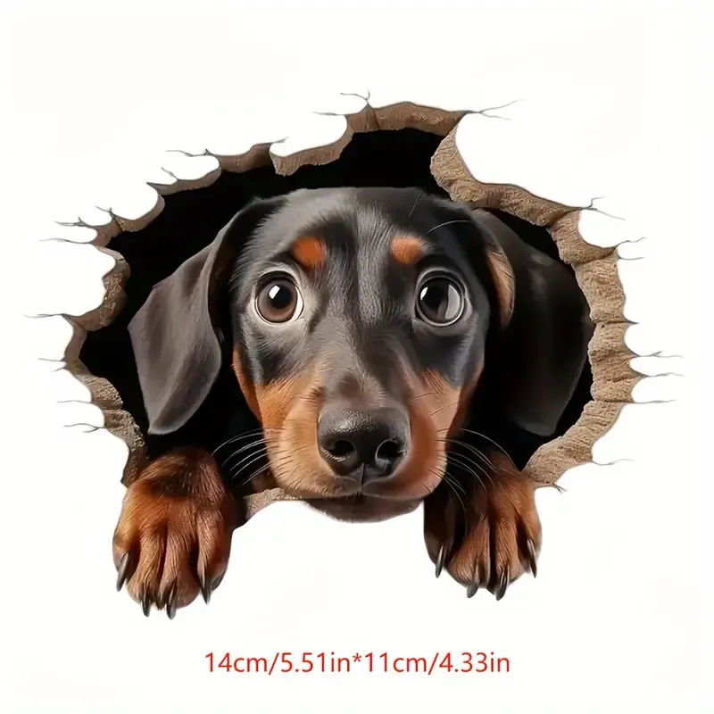 Kuyudan Çıkartılan Dachshund Peeking Vinil Sticker Su Geçirmez