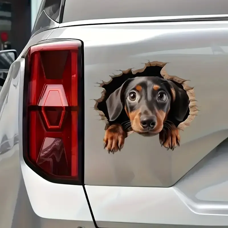 Kuyudan Çıkartılan Dachshund Peeking Vinil Sticker Su Geçirmez