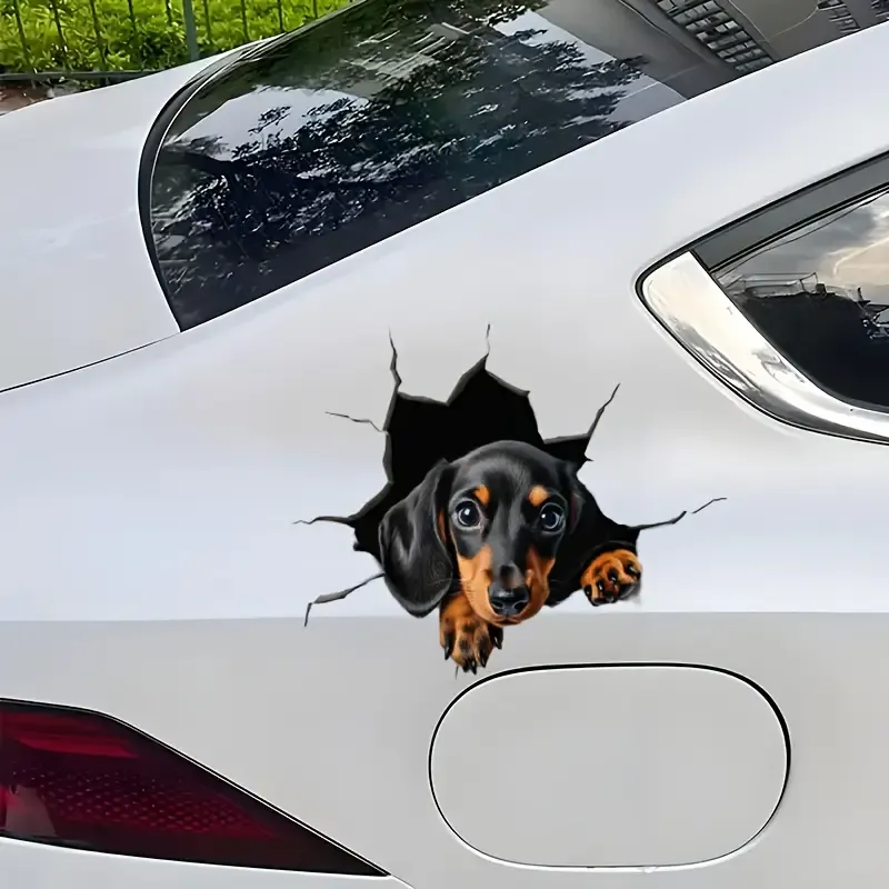 3D Sevimli Dachshund Araç Sticker,