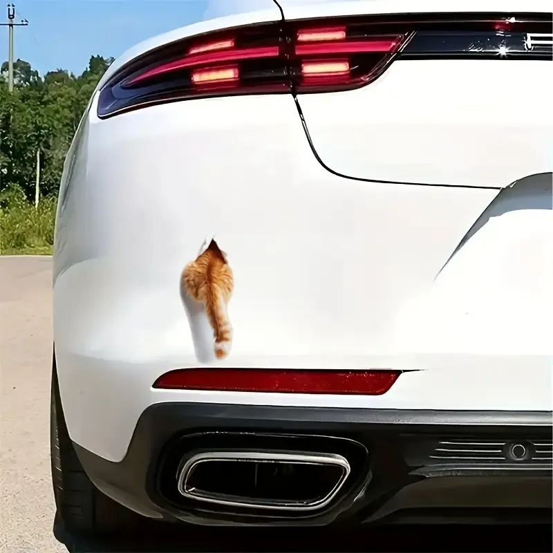 Duvarı Delen Eğlenceli Kedi Sticker