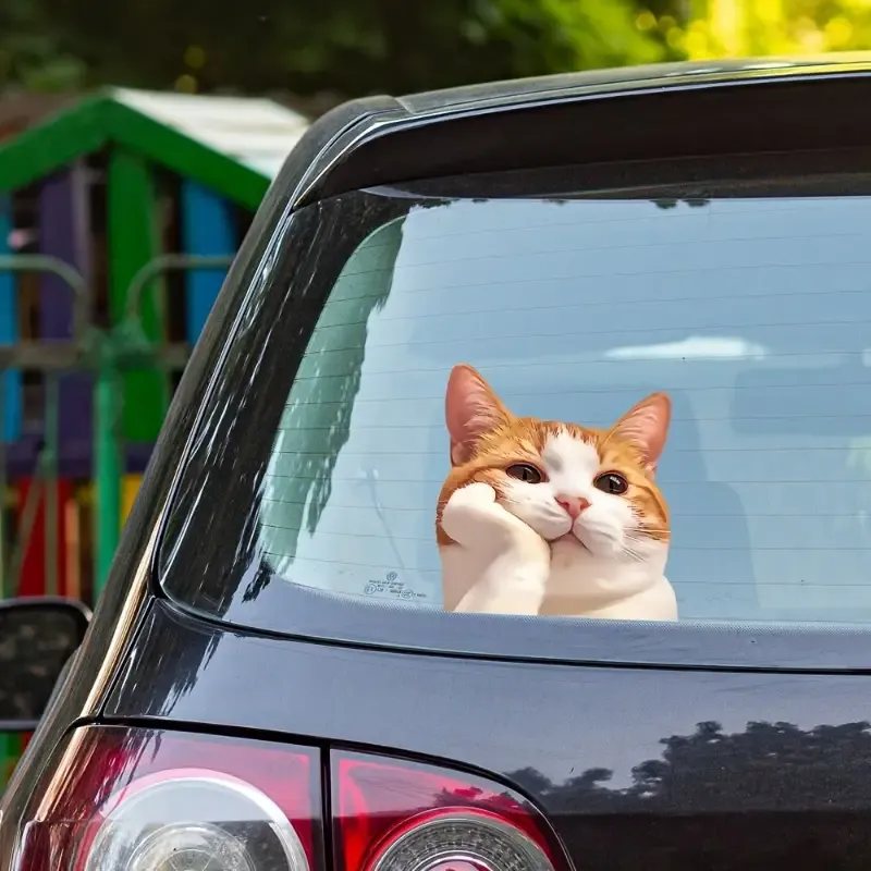 Sevimli Turuncu Kedi Bakışlı Sticker