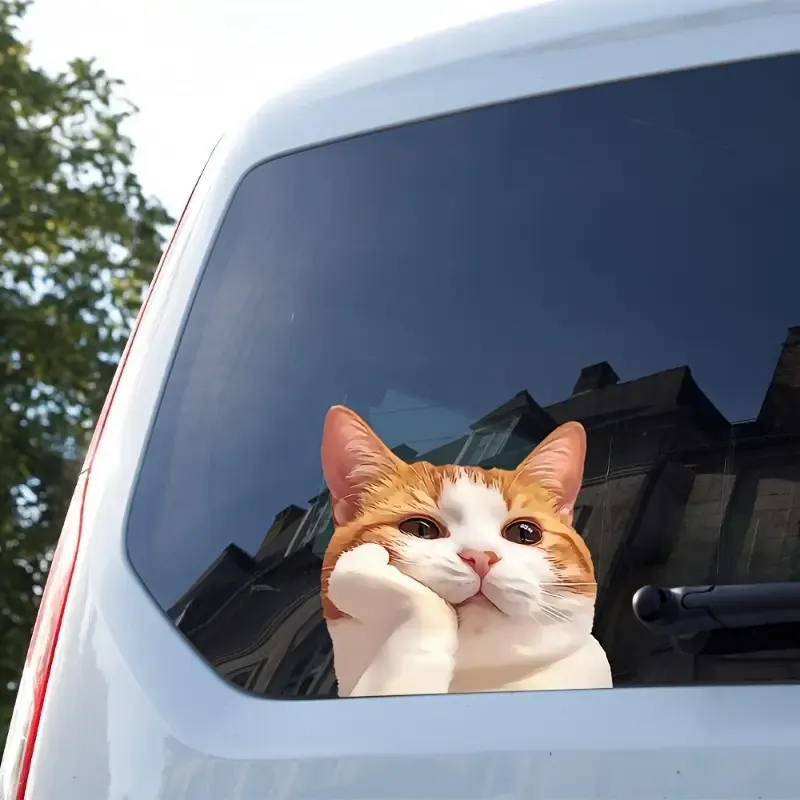 Sevimli Turuncu Kedi Bakışlı Sticker