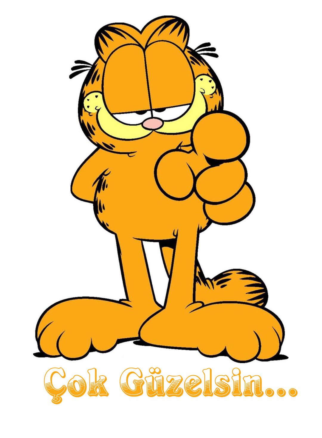 Garfield Çok Güzelsin Sticker