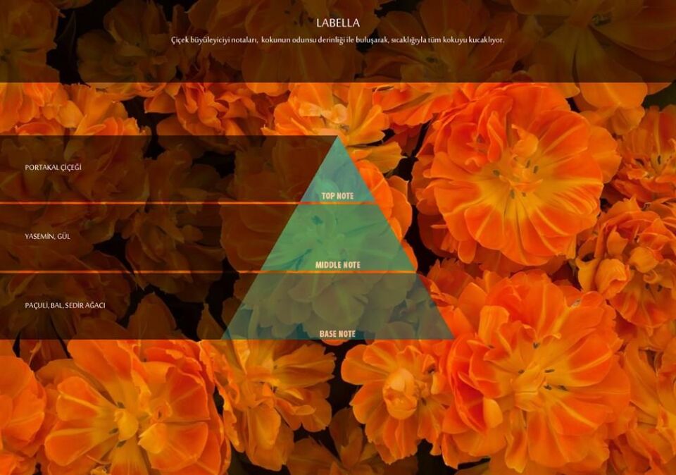 Rulopak Labella Koku Kartuşu 100 ml (M7)