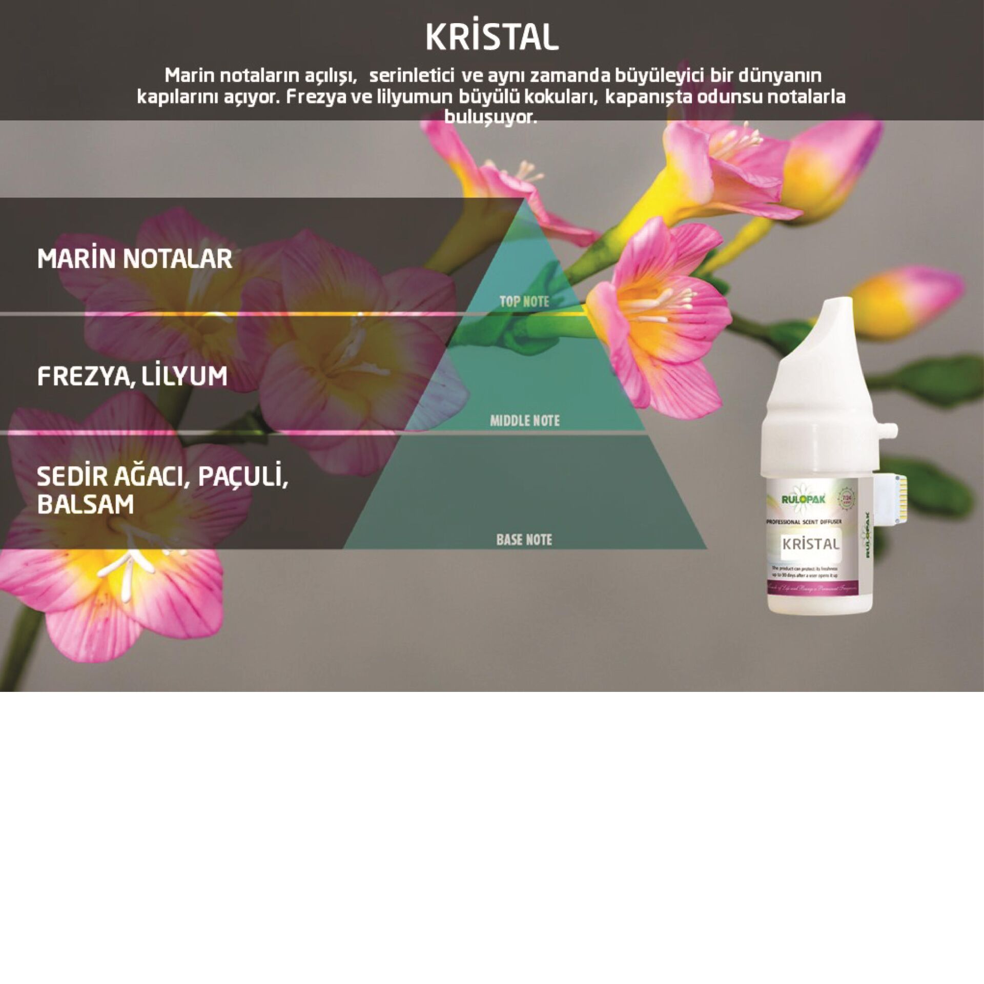 Rulopak Kristal Koku Kartuşu 100 ml (M5-M6)