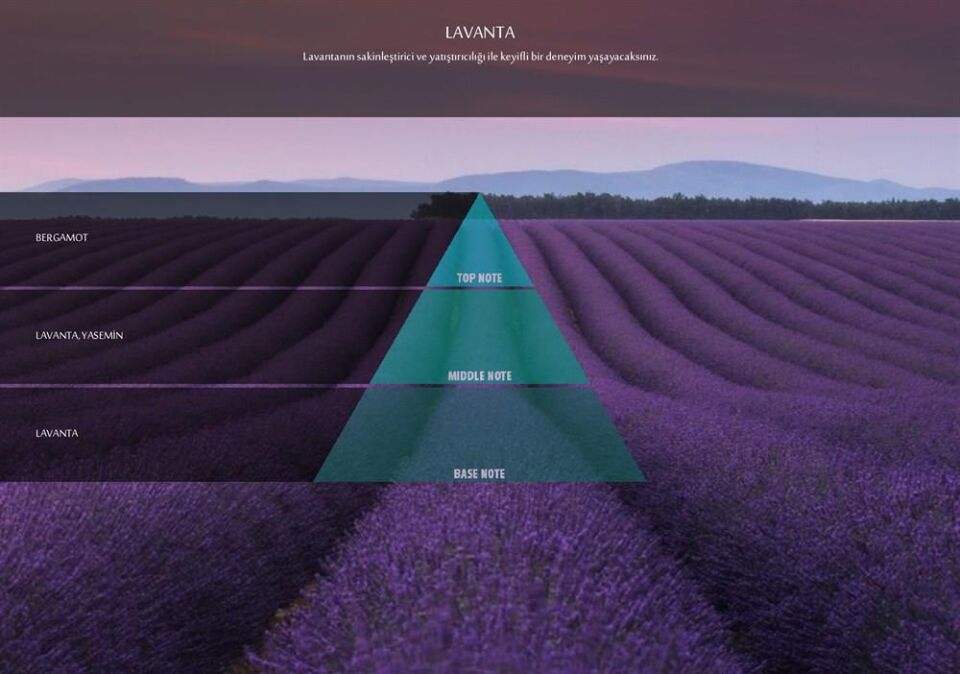 Rulopak Lavanta Koku Kartuşu 100 ml (M5-M6)