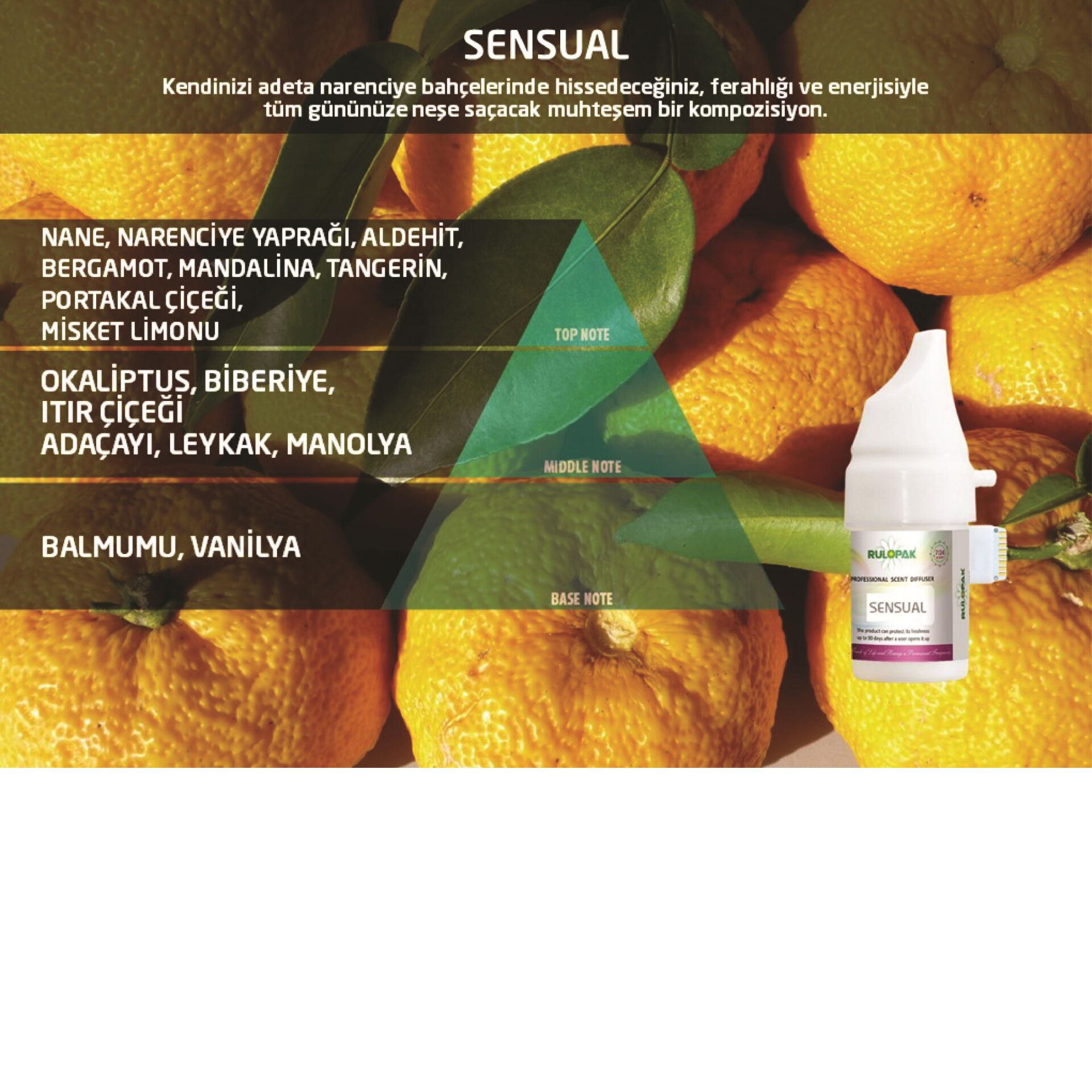 200568 Rulopak 469 Sensual Koku Kartuşu