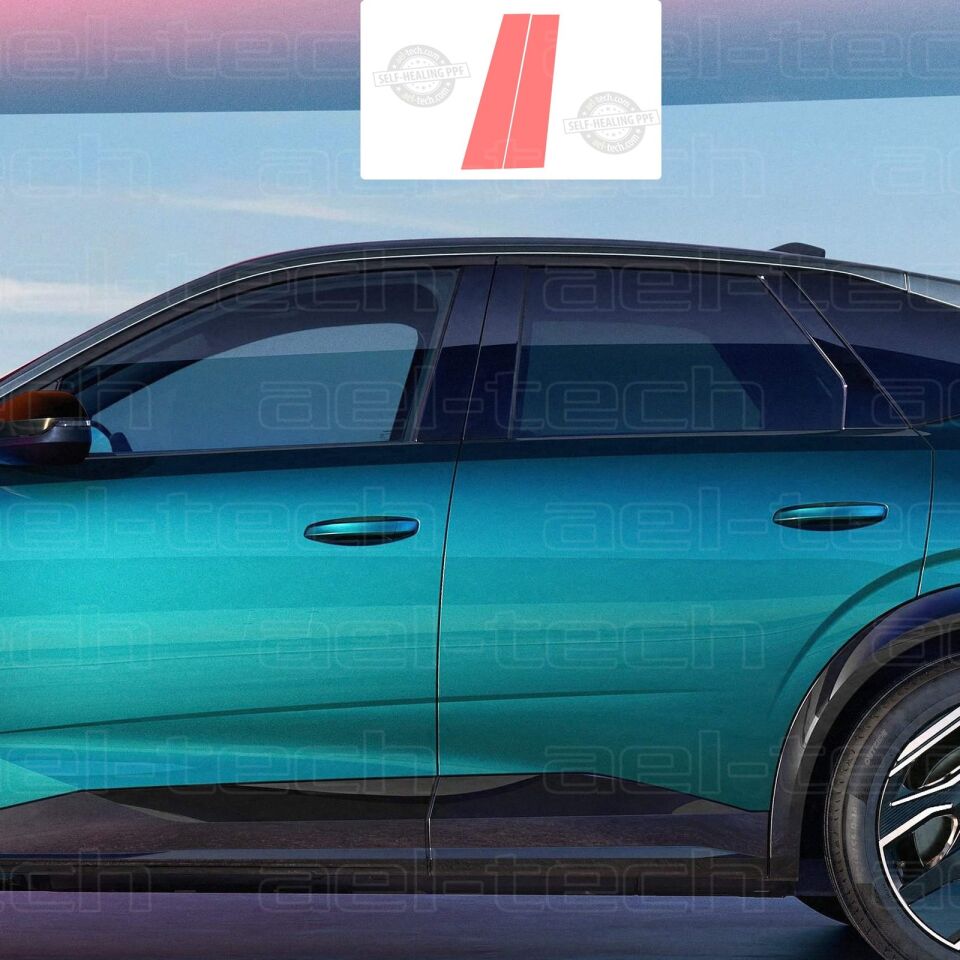 Peugeot 3008 Uyumlu Yan Çıta Tpu Koruyucu 4'lü Set