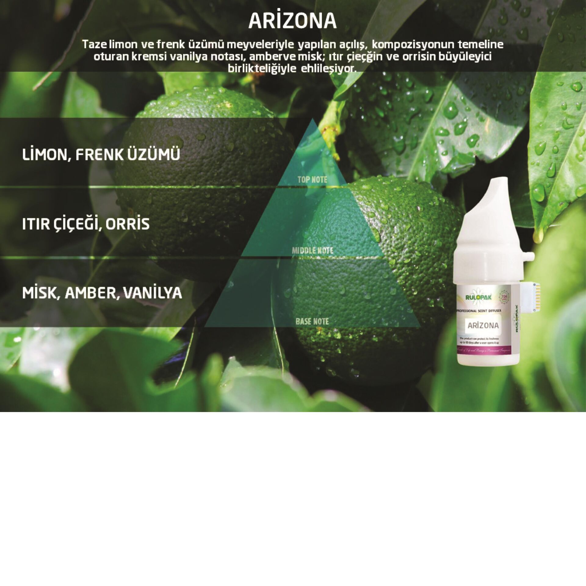 Rulopak Arizona Koku Kartuşu 100 ml (M5-M6)