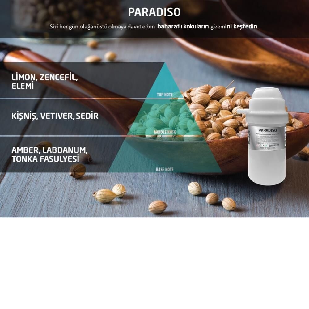 Rulopak Paradiso Koku Kartuşu 100 ml (M7)
