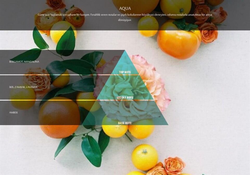 Rulopak Aqua Koku Kartuşu 100 ml (M7)
