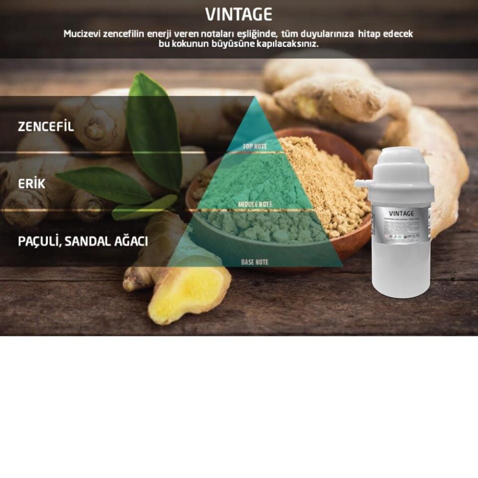 Rulopak 200605 M7 251 Vintage Koku Kartuşu (100 ml)