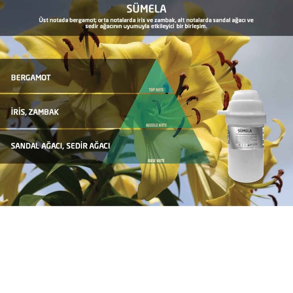 Rulopak 200625 M7 046 Sümela Koku Kartuşu (100 ml)